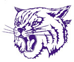 Thornton Township High School Logo