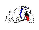 Tinley Park Bulldogs Logo