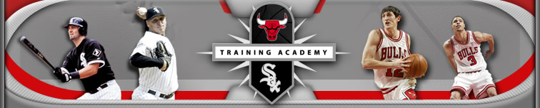 Bulls Sox Academy Logo