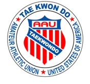 tae kwon do shield