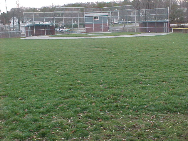 Hartnett Field, from Straightaway CF