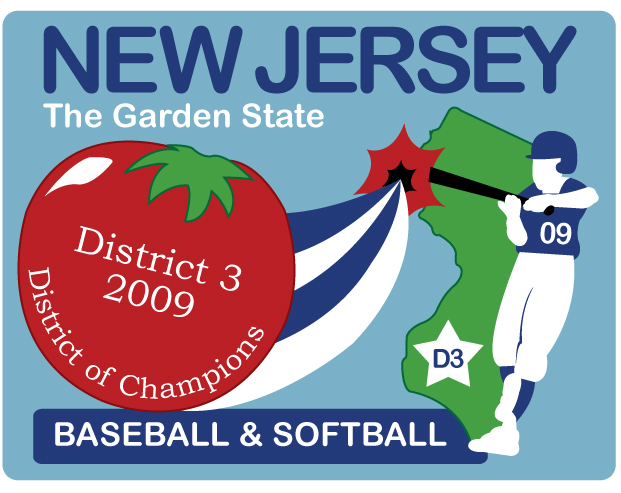 2009 D3 pin