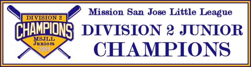 MSJLL 2009 Div2 Junior Champ Banner2