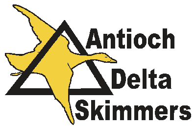 skimmers_logo