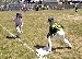 New T-Ball Field