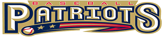 Patriots-2007-550-Logo