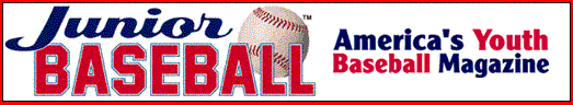 Junior Baseball Banner