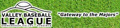 Valley Baseball League Banner