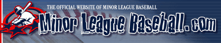 Minor League Baseball Banner