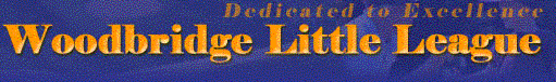 Woodbridge Little League Banner