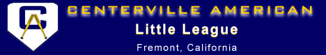 2007 CALL Banner