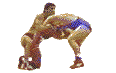 Anchorage Freestyle Wrestling Club