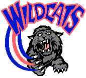 Houston Wildcats Baseball