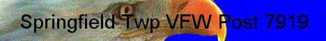 Spring Twp VFW