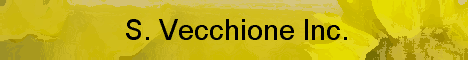 S Vecchione Inc