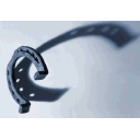 HORSESHOEPHOTO.GIF