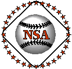 NSA Logo
