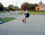 4combo.gif