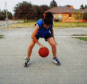 spider.gif