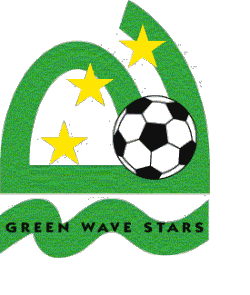 Soccer Patches