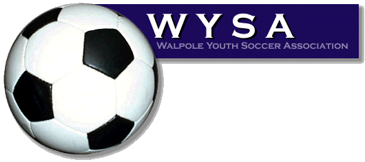 wysa