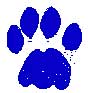 Cougar tracks