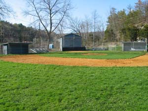 Saxe Field - small