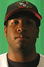 Scruggs 2009