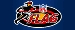 NFL Flag Logo