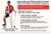 International Orthopedic