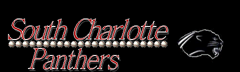 South Charlotte Panthers