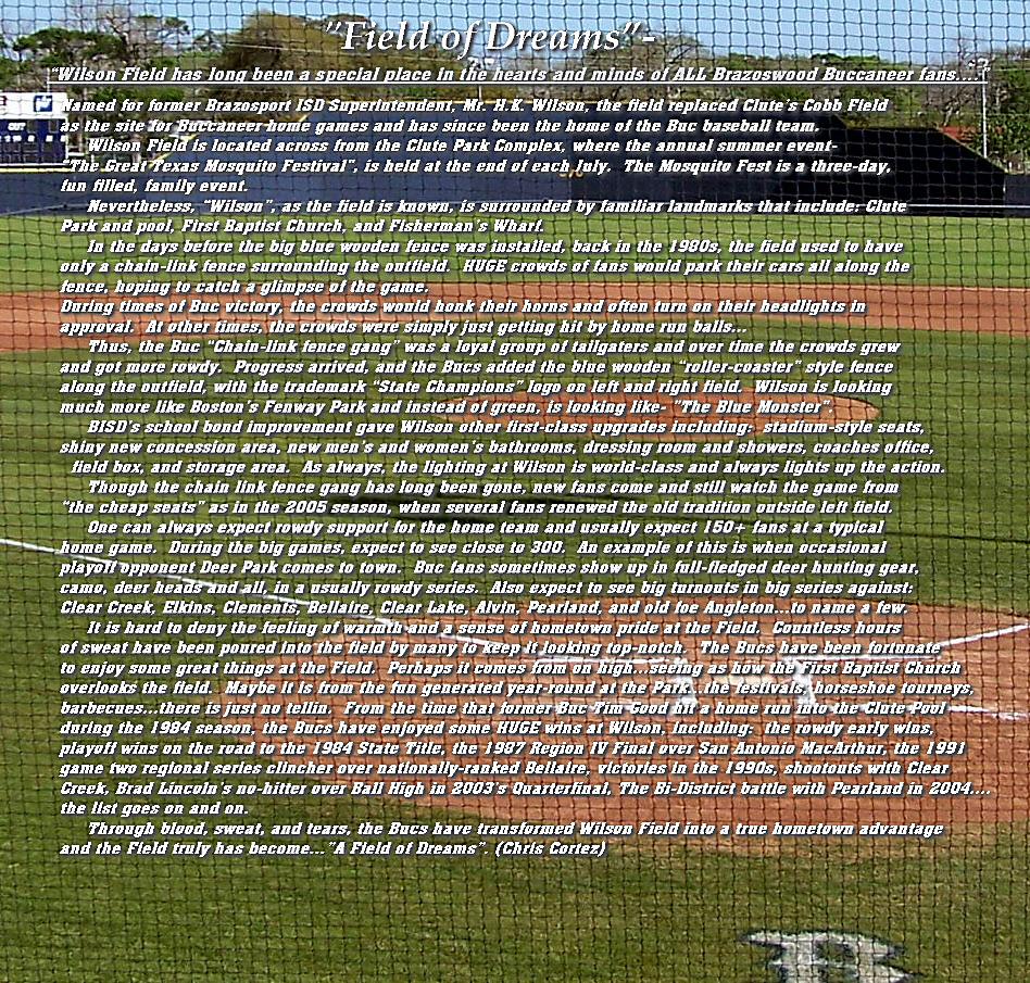 Field of Dreams- Wilson