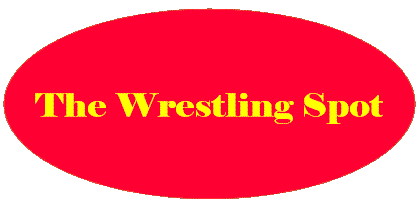 wrestlingspot.gif