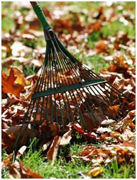 RAKING