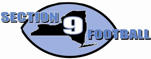SNF Logo 1