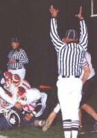Zebras at Work