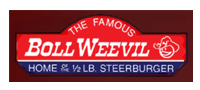 Boll Weevil