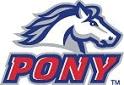 ponypony