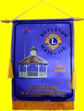 Lions Banner