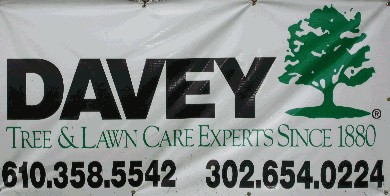 08_Davey_Banner