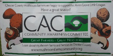 08_CAC_Banner