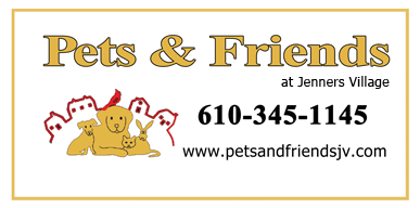 Pets and Friends