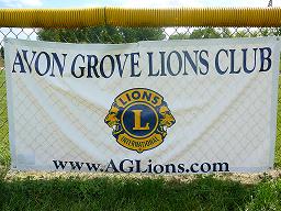 09_Lions_Banner