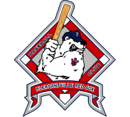 Logo -- Red Sox (team preview)
