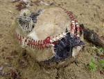 TORN BASEBALL