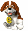 St Bernard