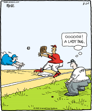 umpire