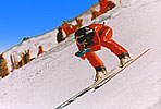 EpicSkiing
