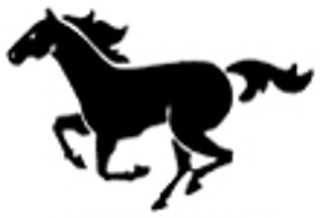 rvhs logo