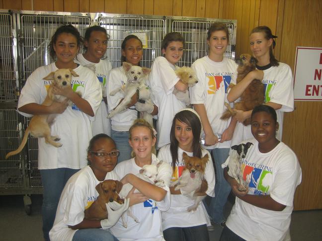 animal friends 0809